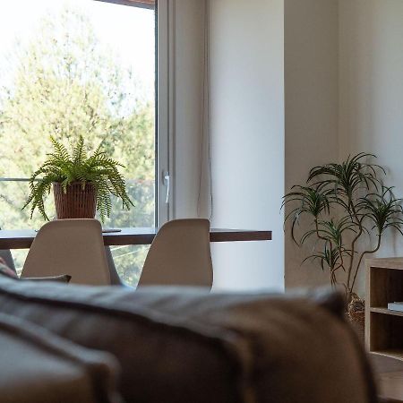 Alpes Da Montanha 501 - Apartamento Em Gramado Buitenkant foto